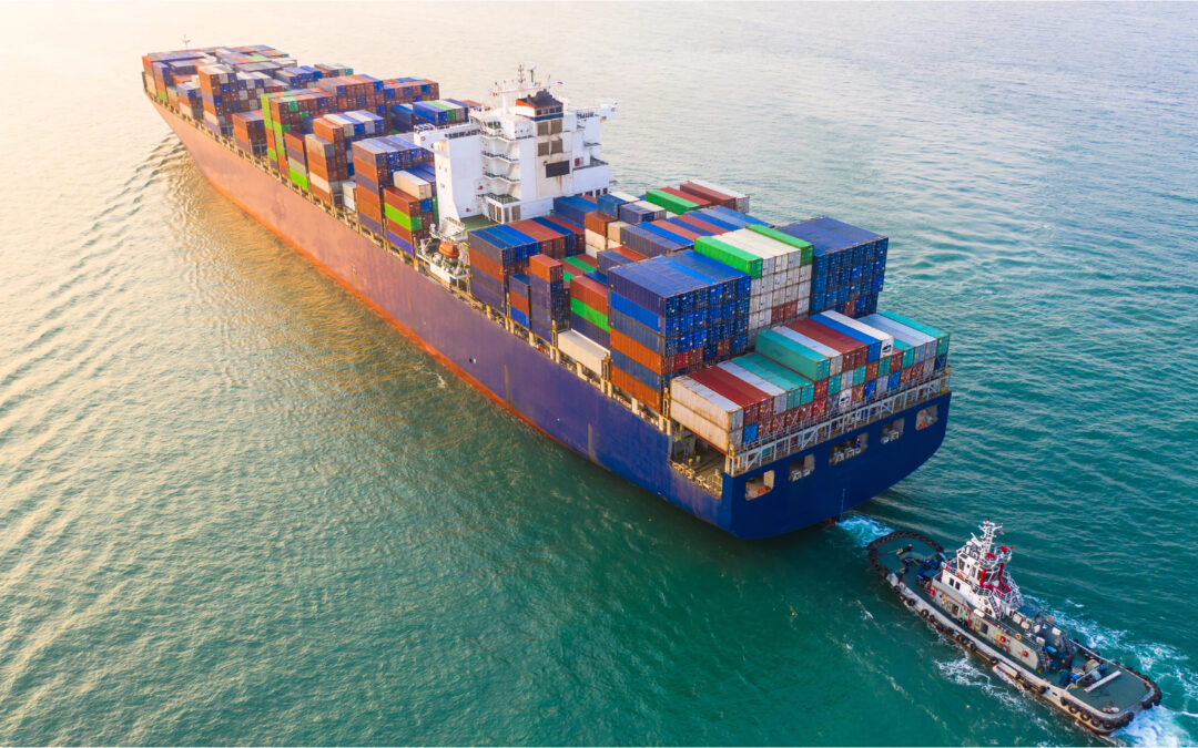 Cargo Service in Dubai: Avoid Delays & Save on Shipping Costs